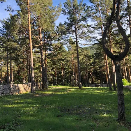 Ferienhaus Forest & *