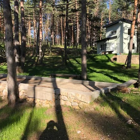 Forest & Blidinje