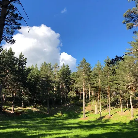 Ferienhaus Forest &