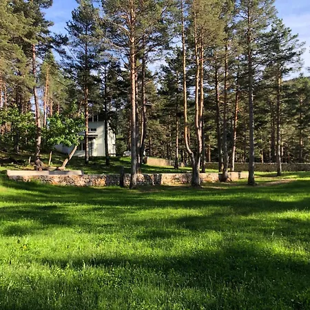 Ferienhaus Forest & *