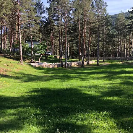 Forest & בית נופש