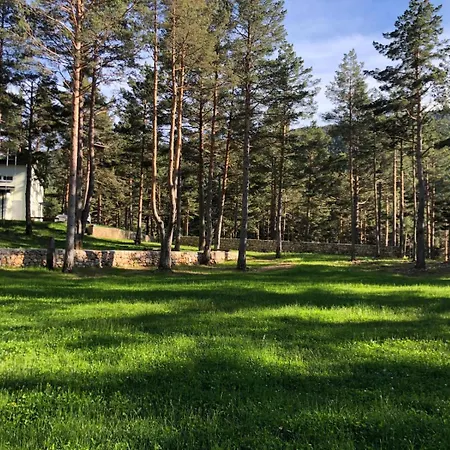 Forest & * Blidinje