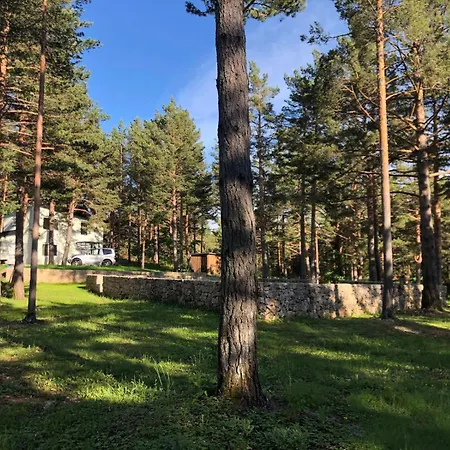 Forest & Blidinje