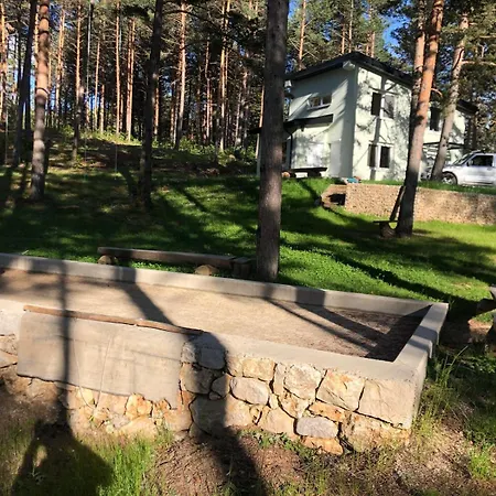 Forest & * Blidinje